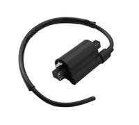 Bobine D'allumage Bobine D'allumage Pour YFM700 Pour Raptor Pour Grizzly Pour 600RE Pour 250W Pour XVS250 3TB-82310-003 4GV-82310-00 Moto Contacteur