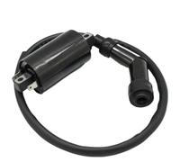 Bobine D'Allumage Bobine D'allumage Win 250 pour Kymco Dink250 Mxu250 3051A-Khe7-900 pour Grand Dink 250 Mxu300 Bobine D'allumage Mongoose300 Yup50 Mxu700i 2013-2018 Allumages Moto