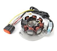 Bobine D'Allumage Bobine De Stator pour GasGas Gas Gas EC125 2005-2006 EC200 EC250 EC300 2005 2006 2007 2008 ME250534005 EC 125 200 250 300 Allumage Moto