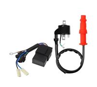 Bobine D'allumage Boîtier CDI De Bobine D'allumage pour Polaris pour Sportsman 500 1996 1997 1998 1999 2000 2001 3085564