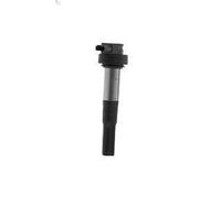 Bobine d'allumage BORGWARNER (BERU) ZS386