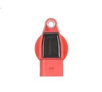 Bobine d'allumage BORGWARNER (BERU) ZSE 042 pour CAYENNE (9PA) 4.5 2002-2006