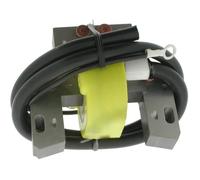 Bobine Allumage Briggs Et Stratton (298968)