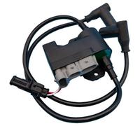 Bobine d'allumage calibrée compatible avec les motoneiges Ski-Doo, compatible avec Expedition Freestyle Grand Touring MXZ Series, noir, 1 pièce