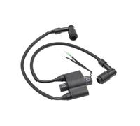 Bobine d'allumage Compatible avec 9.9HP NS9.9D2 15HP NS15D2 18HP NS18E2 25HP NS25C2 30HP NS30A3 NS30A4 et 15HP 18HP