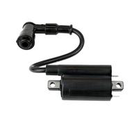 Bobine d'allumage compatible avec AM120732 Convient à 2653 Gas 260 265 285 320 425 F725 F911 Modèles de remplacement Partie