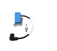 Bobine d'allumage Compatible avec EBZ7500 EBZ7500RH EBZ8500 EBZ8500RH EBZ6500 EBZ6500RH 583916701 506615101 CMR6H