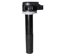 Bobine d'allumage Compatible Avec Ford Pour Mercury Pour Verado 200 225 250 275 300 350 400 HP Bobine D'allumage De Voiture Moteurs De Véhicules Bobines D'allumage 19005251 12582000