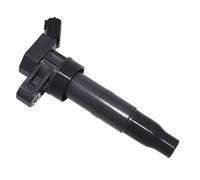 Bobine d'Allumage Compatible Avec Hyundai Pour Santa Pour Sonata Pour Ix35 Bobines D'allumage 273003F100 273002G700(1pcs)
