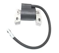 Bobine d'allumage Compatible avec Les modèles 120502, 120T02, 121H02, 121K02, 122H02, 122H07, 122H82, 590455, 793353, 799382, 793354, 792631, 792640. Remplace Les pièces.