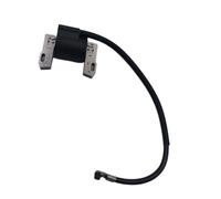 Bobine d'allumage compatible avec les modèles 592846, 691060 et 799651