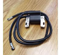 Bobine d'allumage compatible avec les modèles BS St-ratton 392329 394988 590781 394895 394891