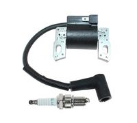 Bobine d'allumage Compatible avec Les Moteurs Professionnels 800E 850E 850EX 875EX 950 595554 595959 592335 796499 799645 793449