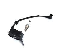 Bobine d'allumage Compatible avec RCS3535C2, RCS3540C, RCS4046C, RCS4446C2, RCS4450C, HCS4041, 5131000667