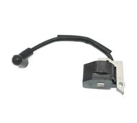 Bobine d'allumage Compatible avec RY30004A RY30021A RY30041A RY30061A RY52002A PC30 RY52004 TP30 RY52001A PC30 RY52003A TP30