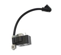 Bobine d'allumage Compatible avec RY30260B RY30522 RY30524 RY30530 RY30542 RY30544 RY30550 RY30562 RY30564 RY30570 RY30923