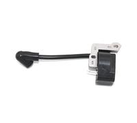 Bobine d'allumage Compatible avec RY34447 RY4CPH RY34440 RY4CCS RY4CCSVNM OEM 309263002