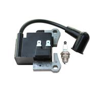 Bobine d'allumage compatible avec TLE33 TLE43 TLE48 1E40F-E.3 BC-46 CG-430 BC46 CG430 013666