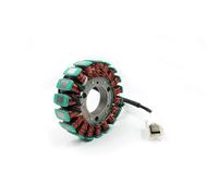 Bobine D'allumage Composants D'allumage Faisceau Bobine Moto Servomoteur Magnétique Câblage D'allumeur CDI Kit Électrique Complet pour Loncin MT250 Bougie D'Allumage(Magneto Coil)