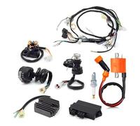 Bobine d'allumage contacteur d'allumage pour Warrior YFM 350 X Faisceau de câblage Bobine d'allumage contacteur de Guidon Gauche allumeur CDI Relais redresseur kit Complet