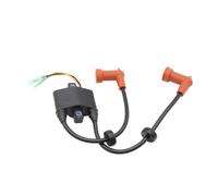 Bobine d'allumage de bateau Assy 6HP F6 F6A 8HP F8 T8 FT8D 9.9HP F9.9 FT9.9 E9.9D 15HP E15D 20HP 20C 25HP C25 25D compatible avec les pièces de moto automobile pour numéro de pièce 6B4-85570-00