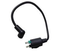 Bobine d'allumage de générateur, pour Yamaha, pour ET950 ET650, pour Tiger TG 950 TG 650 650 W 950 W 1000 W 1 KW, Bobine de Moteur de générateur Haute Tension pour Machines de Jardin