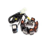 Bobine d'allumage de moto Bobine De Stator De Moto 31120-HM8-004 Pour TRX250 Pour TRX250TE Pour FourTrax 250 ES TRX 250 Pour Recon TE TM Pour TRX250EX Pour Sportrax 250 EX Dispositif d'allumage