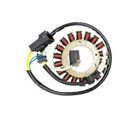 bobine d'allumage de moto Ensemble de bobine Stator générateur pour moto, pour Cfmoto CF500 X5 UFORCE 500 196S-B 196S-C CF188 ABC 0180 - 032000