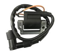 Bobine d'allumage de moto Pour Golf Pour Chariot G1 J10 1976-1986 Bobine D'allumage