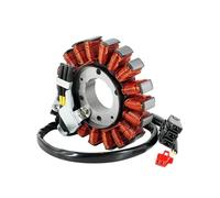 Bobine d'allumage de moto, stator de moteur adapté for NSS250 NSS250EX NSS250S NSS250Z NSS250X MF10 OE:31120-KVZ-632