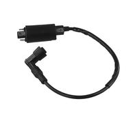 Bobine d'allumage de rechange, compatible avec les séries 285 320 345 425 445 GX345 LX279, compatible avec les modèles de moteur AM120732 21121-2083