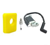 Bobine d'allumage de rechange et assemblage d'allumage avec éponge filtrante compatible avec les systèmes de moteur 798534 799582 593872 593381 596532