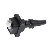 Bobine d'allumage de Remplacement, pour système de Chauffage d'allumage Automobile, pour Peugeot, pour 306 2001-2005 Bobines d'allumage, pour Voiture 96213181 597055