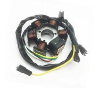 Bobine d'allumage de Stator adaptée à la bobine d'allumage de démarreur XP6 XPS XP6S XR6 50