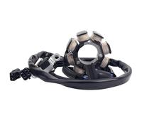 Bobine d'allumage de stator de moteur de moto compatible avec Honda CRF250 CRF250X CRF 250 X 2004-2009 2012 2013 2015 2016 2017 31100-KSC-671