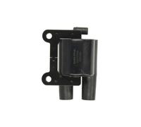 Delphi Technologies GN10703-12B1 Bobine D'Allumage