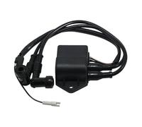 Bobine D'allumage Démarreur Moto Pour Polaris 440 Pour CARB Pour Classic Pour EURO 500 Pour EFI Pour Widetrak LX. Universelle Bobine d'allumage