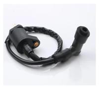 Bobine d'allumage et contacteur d'allumage. Compatible avec Vespa ET4 GTV 125 Granturismo EU3 GTS EU3 125 cm³ 829337 246010082. Accessoires (Standard)