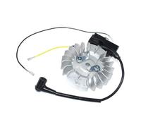 Bobine d'allumage et Volant Moteur compatibles avec CS2172, CS2186, CS2188, CS2255, G5300, GZ7000 et GZ7100