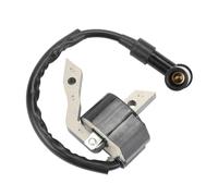 Bobine d'allumage EX30 adaptée à l'allumeur EX27 EX27D 9HP 265CC Module de STATOR 4 Temps 279-79430-0