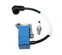 Bobine d'allumage for 580BFS Mark III et 580BTS Mark III 599899501