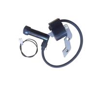 Bobine D'ALLUMAGE for GT600 GM182 GM132 GT400 GT240 2.4HP 6HP 4 Temps