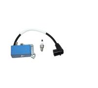 Bobine d'allumage for HRN 580BFS Mark III et 580BTS Mark III (référence: 599899501)