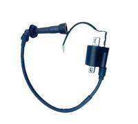 Bobine d'allumage for quad compatible avec les modèles 500 cm³ et 700 HS500 HS700 (références : 33100-115-0000, 33100-058-0000 33100-107-0000)