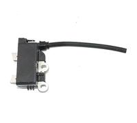 Bobine d'allumage for Ventilateur à Jet Ryobi RY25AXB