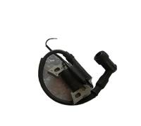 Bobine d'allumage G100 for G100K1 G100K2 2HP 2.5HP 4T 98CC, STATOR de barre franche, pompe à eau, lave-linge, allumeur magnétique