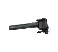 Delphi Bobine d'allumage GN10187-12B1 version de raccord SAE pour Chrysler 300C