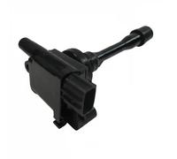 Delphi Bobine d'allumage GN10191-12B1