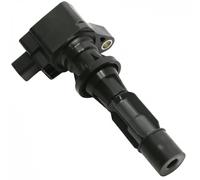Delphi Technologies Bobine d'allumage GN10251-12B1