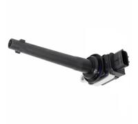 Delphi Bobine d'allumage GN10317-12B1 – Version de raccord SAE pour Renault, Nissan